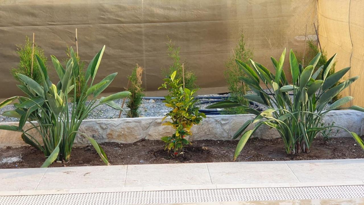 Geroskipou Villa Yermanina מראה חיצוני תמונה
