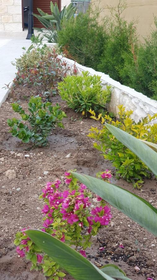 Geroskipou Villa Yermanina מראה חיצוני תמונה