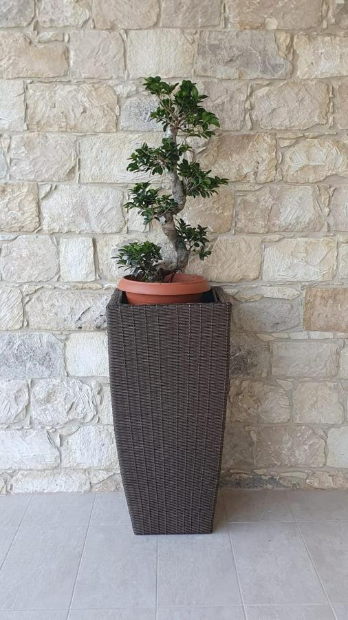 Geroskipou Villa Yermanina מראה חיצוני תמונה